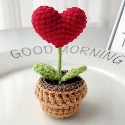 Handmade Knitted Flower Pot Red Heart Shaped